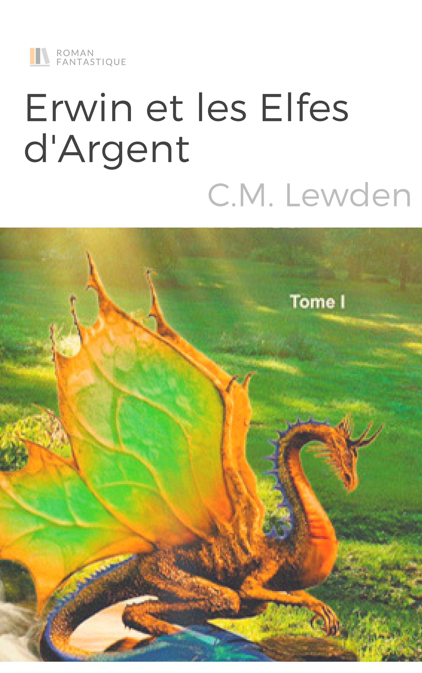 cover test - erwin et les elfes d'argent - c m lewden (image la porte de feu)